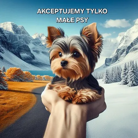 Apartment Z Widokiem & Balia & Basen - Krole 25a Harenda By Rentilopl *